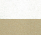 Another alt text