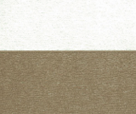 Another alt text